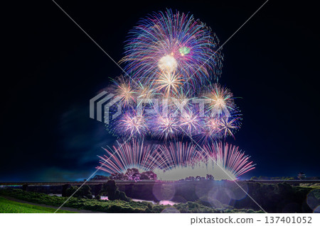 利根江上盛開著大朵花 利根江上盛開著大朵花 137401052