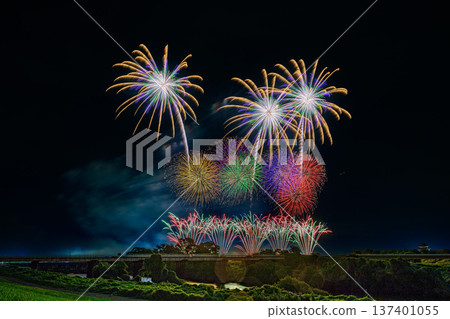 Large flowers blooming on the Tone River 137401055