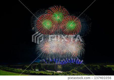 利根江上盛開著大朵花 利根江上盛開著大朵花 137401056