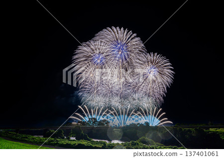 Large flowers blooming on the Tone River Large flowers blooming on the Tone River 137401061