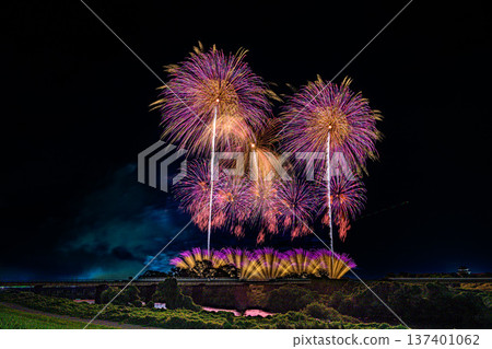 Large flowers blooming on the Tone River 137401062