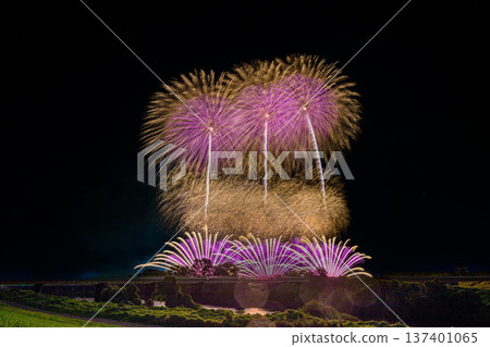 利根江上盛開著大朵花 利根江上盛開著大朵花 137401065