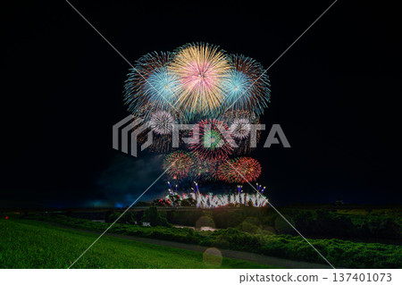 利根江上盛開著大朵花 利根江上盛開著大朵花 137401073