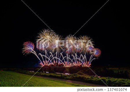 利根江上盛開著大朵花 利根江上盛開著大朵花 137401074