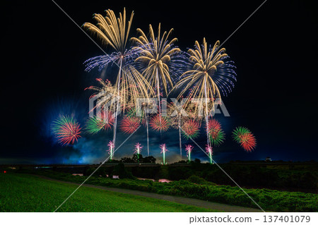 Large flowers blooming on the Tone River 137401079