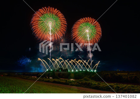 利根江上盛開著大朵花 利根江上盛開著大朵花 137401082