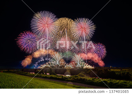 Large flowers blooming on the Tone River Large flowers blooming on the Tone River 137401085