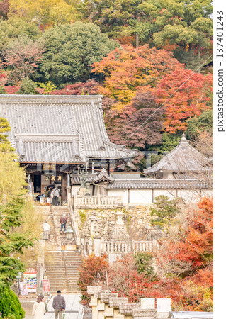 京都府長岡京市西山,橫國寺(柳谷觀音寺)-正門、正殿及秋葉 京都府長岡京市西山,橫國寺(柳谷觀音寺)-正門、正殿及秋葉 137401243