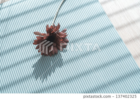 Yoga mat and a single gerbera flower 137402325