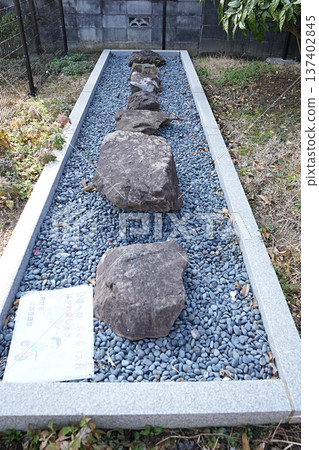 Foundation stone of Nagaoka Shrine, Muko City, Kyoto (Early Spring) 137402845