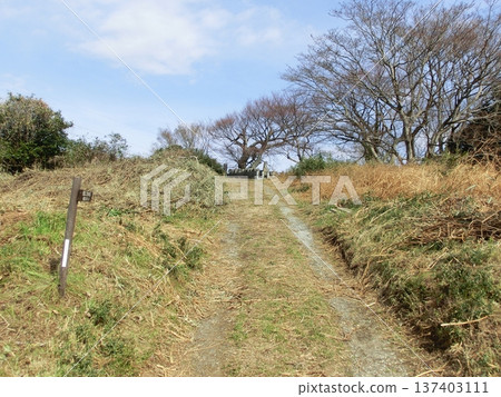 高鳥山健行步道 高鳥山健行步道 137403111