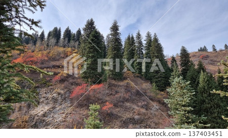 Beautiful Autumn Landscape With Mountains And Forest 137403451