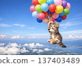 小貓乘著氣球在空中飛翔 137403489