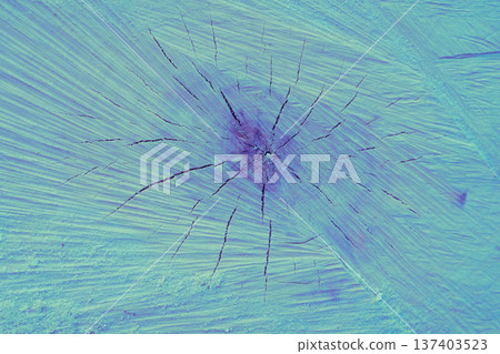 Azure blue wooden stump close up for decoration  137403523