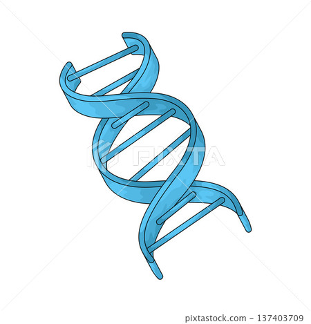 Illustration of DNA Strand Illustration of DNA Strand 137403709