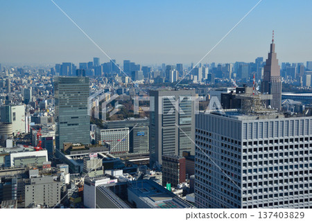 城市景觀 東京 新宿區 千代田區 港區 137403829