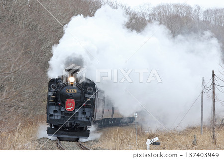 SL Winter Wetlands Train, Senmo Main Line, SL Train, Steam Locomotive, C11 171 SL Winter Wetlands Train, Senmo Main Line, SL Train, Steam Locomotive, C11 171 137403949