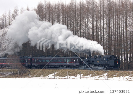 SL 冬季濕地列車，森莫本線，SL 列車，蒸汽機車，C11 171 137403951