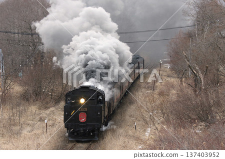 SL 冬季濕地列車，森莫本線，SL 列車，蒸汽機車，C11 171 137403952