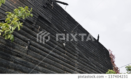 Burnt logs of a wooden house wall showing fire damage and destruction Burnt logs of a wooden house wall showing fire damage and destruction 137404231