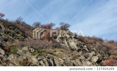 Mountain Landscape With Rocks And Trees Mountain Landscape With Rocks And Trees 137404269