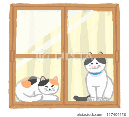 Window and cat Window and cat 137404358