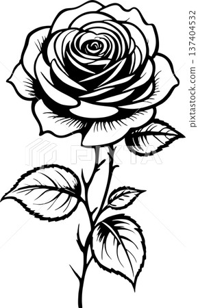 black graphic drawing of a rose flower on a white background, isolated element, decor 137404532