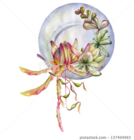 Glass orb florarium of succulent rosettes and flowing vines foliage. Protea leaves, disocactus sprouts. Isolated illustration hand drawn in watercolor. Wall art, nursery decor, plant shop signage. 137404983