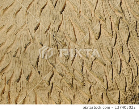 a fragment of the uneven surface of a hard object made of solidified material, with a curved and scratched structure painted light brown, part of a sculpture or figure of an animal with imitation wool 137405022