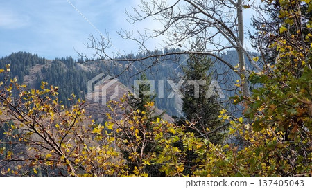 Beautiful Landscape In The Mountains Beautiful Landscape In The Mountains 137405043