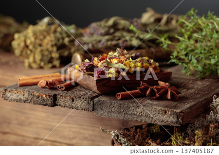 Close-up of various dried spices and herbs for herbal medicine. 137405187