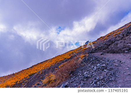 （靜岡縣）富士山，寶榮步道：秋葉與雲海 137405191