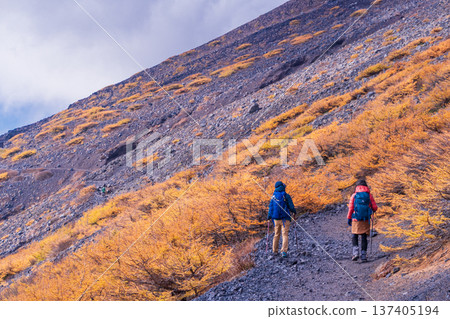 (Shizuoka Prefecture) Climbers walking along the Hoei Promenade on Mount Fuji, autumn leaves and a sea of clouds (Shizuoka Prefecture) Climbers walking along the Hoei Promenade on Mount Fuji, autumn leaves and a sea of clouds 137405194