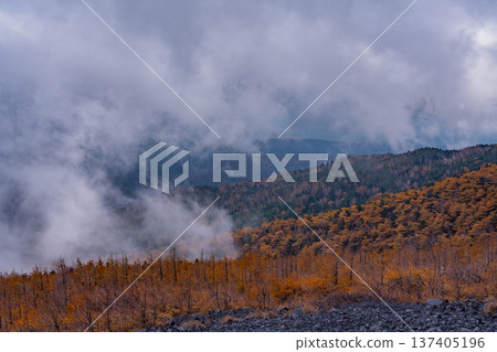 (靜岡縣)富士山,寶榮步道:秋葉與雲海 (靜岡縣)富士山,寶榮步道:秋葉與雲海 137405196