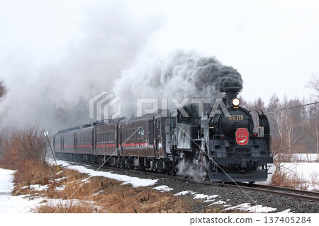 SL Winter Wetlands Train, Senmo Main Line, SL Train, Steam Locomotive, C11 171 SL Winter Wetlands Train, Senmo Main Line, SL Train, Steam Locomotive, C11 171 137405284