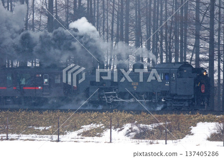 Steam locomotive Winter Wetlands departs Kayanuma Station in light snow. Senmo Main Line Steam locomotive train C11 171 Steam locomotive Winter Wetlands departs Kayanuma Station in light snow. Senmo Main Line Steam locomotive train C11 171 137405286