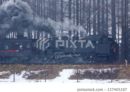 蒸汽機車「冬日濕地」號在輕雪中駛離茅沼站。千茂本線蒸汽機車C11 171次列車 137405287