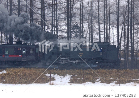 蒸汽機車「冬日濕地」號在輕雪中駛離茅沼站。千茂本線蒸汽機車C11 171次列車 137405288