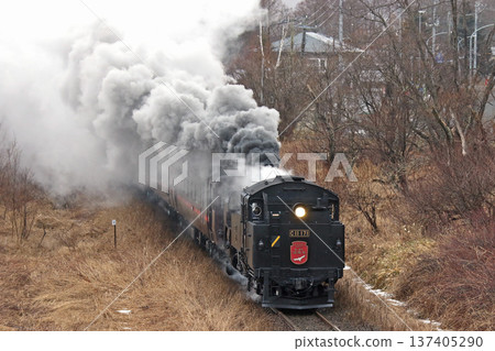 SL 冬季濕地列車，森莫本線，SL 列車，蒸汽機車，C11 171 137405290