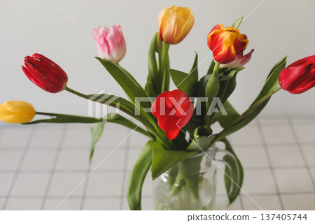 Fresh spring colorful bouquet of tulips in vase standing on white table in light classic design living room background. Festive flowers for gift. Mockup for greeting card 137405744