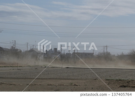 Spring, rural residential area, dust flying in the fields Spring, rural residential area, dust flying in the fields 137405764