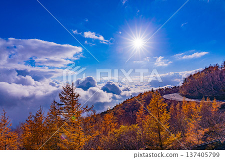 (Shizuoka Prefecture) Mt. Fuji, Fujinomiya Trailhead Fifth Station Parking Lot Above the Clouds: Autumn Foliage and Sea of Clouds (Shizuoka Prefecture) Mt. Fuji, Fujinomiya Trailhead Fifth Station Parking Lot Above the Clouds: Autumn Foliage and Sea of Clouds 137405799