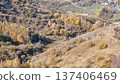 Beautiful Autumn Landscape With Trees And Leaves 137406469