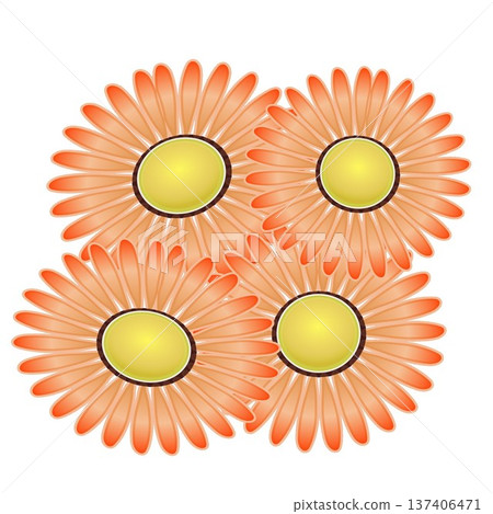 雛菊插圖 雛菊插圖 137406471