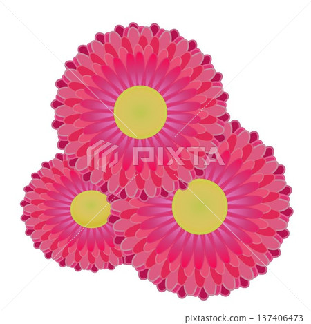 雛菊插圖 雛菊插圖 137406473