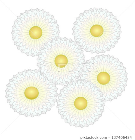 雛菊插圖 雛菊插圖 137406484