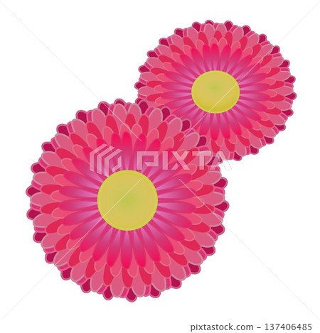 雛菊插圖 雛菊插圖 137406485