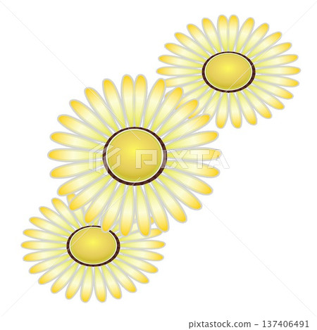 雛菊插圖 雛菊插圖 137406491