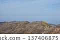 Beautiful Landscape Of The Mountains 137406875