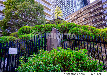 東京都新宿區鳴子殿藤塚 東京都新宿區鳴子殿藤塚 137406945
